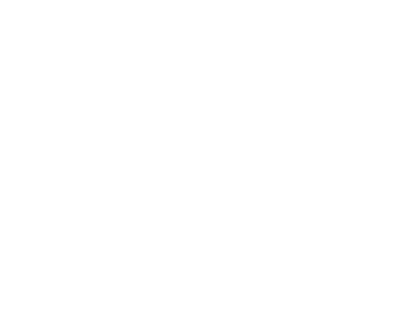Videos 動画